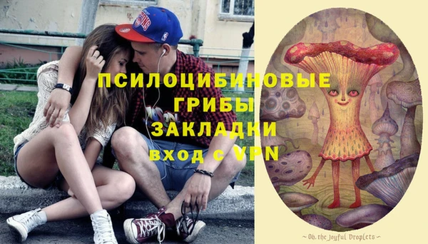 марки lsd Вяземский